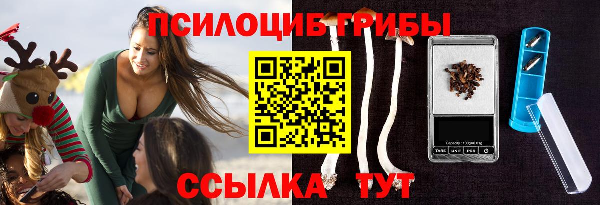 Псилоцибиновые грибы Psilocybine cubensis Белорецк