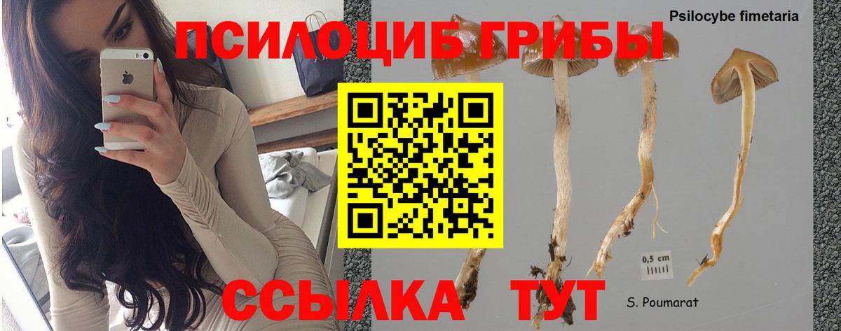 Галлюциногенные грибы прущие грибы  Вход с VPN  Белорецк  Галлюциногенные грибы MAGIC MUSHROOMS 